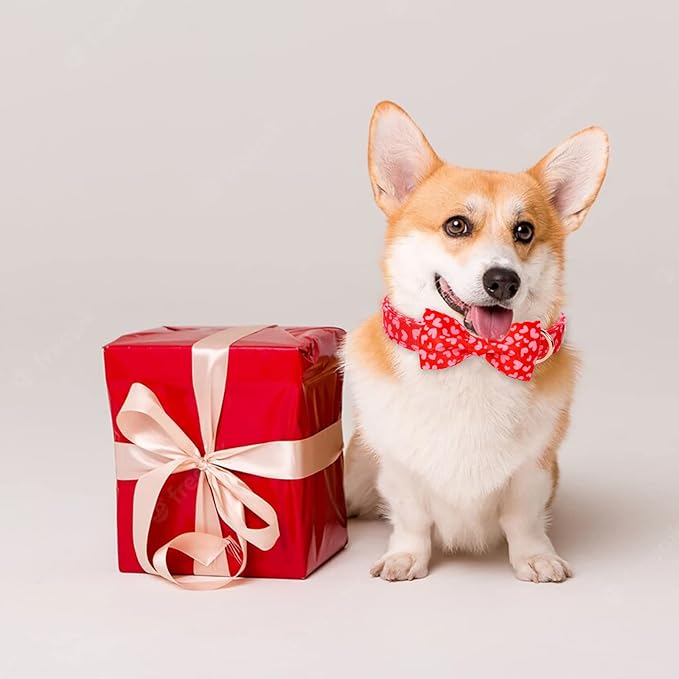 Valentines Dog Collar with Bow Tie, Pink Red Love Male Dog Collar with Safety Metal Buckle Adjustable Puppy Collars for Small Medium Large Boy & Girl Dog, L-Neck 16"-24"