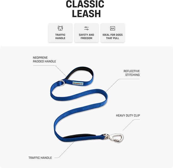 DF Co. Classic Dog Leash | Strain-Free, Shock Resistant, Prevents Jolts, Maintain Control | Durable Waterproof Material with Heavy Duty Clip & D-Ring | Black, Size Regular
