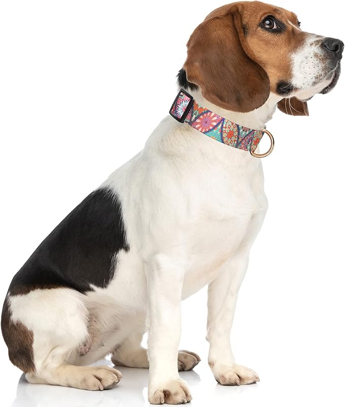 Rnivvi Dog Collar for Medium Dogs, Cute Heavy Duty Adjustable Puppy Collar with Quick Release Buckle for Boy Girl & Female, Pet Accessories for Walking Running, M Length 1" Width, Beautiful Mandala