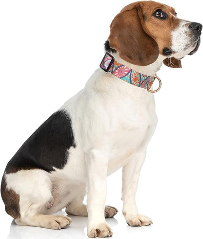 Rnivvi Dog Collar for Medium Dogs, Cute Heavy Duty Adjustable Puppy Collar with Quick Release Buckle for Boy Girl & Female, Pet Accessories for Walking Running, M Length 1" Width, Beautiful Mandala