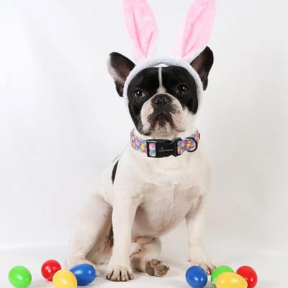 ARING PET Easter Dog Collar, Cute Purple Eggs Pet Collars with Quick Release Buckle for Puppy Small Medium Large Boy Girl Dogs-L