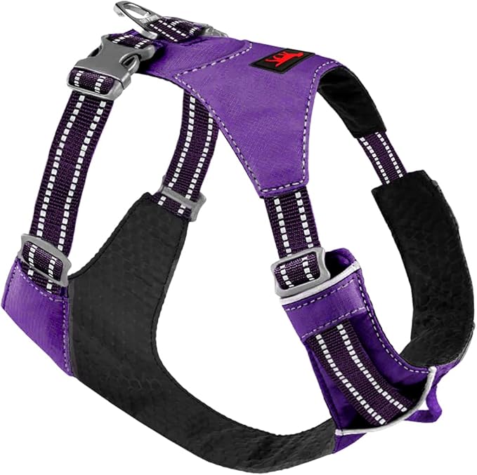 Tuff Pupper All-Day Wear Dog Harness | for Walking, Trail Running, Hiking | Front & Back Leash Clips | Reflective Trim | Easy On/Off Buckles | Lightweight Breathable | No Pull Design (Small, Purple)