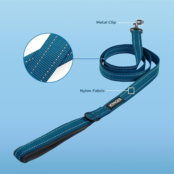 Best Pet Supplies Voyager Reflective Dog Leash or Collar with Neoprene Handle, for Small, Medium, and Large Breed Puppies, Cute and Heavy Duty for Walking, Running and Training - Blue Leash, L