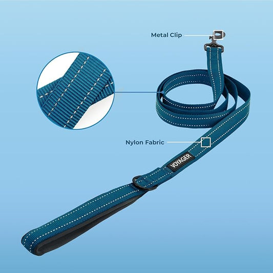 Best Pet Supplies Voyager Reflective Dog Leash or Collar with Neoprene Handle, for Small, Medium, and Large Breed Puppies, Cute and Heavy Duty for Walking, Running and Training - Blue (Leash), S