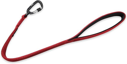 Hyhug Pets 24 Inches Durable Short Leash with Neoprene Soft Handle and Lightweight Aviation Aluminium Clip Lead- for Daily Use Walking and Professional Training. (24 Inches, Red)