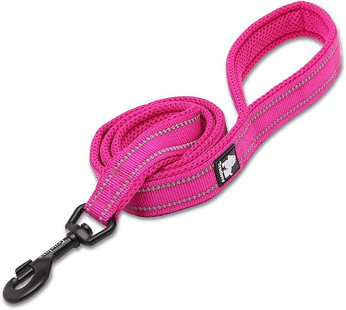 TRUE LOVE Reflective Dog Leash Puppy Walking Lead, Padded Pet Chain Rope，Length 110cm Truelove TLL2111(Fushcia,S)