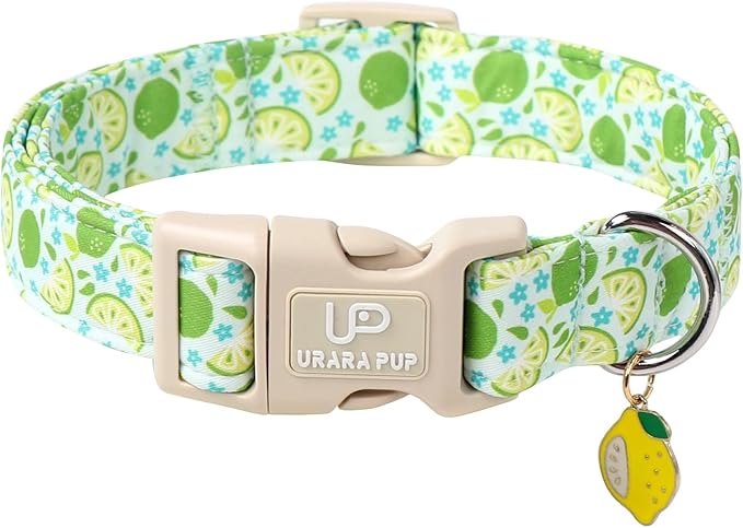 UP URARA PUP Summer Dog Collar-Refreshing Lime Pet Collars-Adjustable, Comfortable & Durable Puppy Collars for Small, Medium, Large Dogs