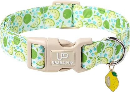 UP URARA PUP Summer Dog Collar-Refreshing Lime Pet Collars-Adjustable, Comfortable & Durable Puppy Collars for Small, Medium, Large Dogs