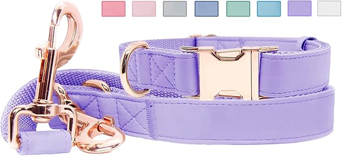 Soft Leather Dog Collar and Leash (6.6') Set - Stylish Rose Gold Heavy Duty Metal Buckle, 4 Adjustable Lengths Leash for Small Medium Large Dogs - Comfortable & Easy to Clean (XS, Light Purple)