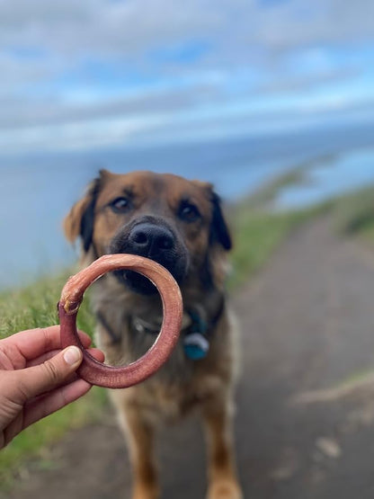 Redbarn Pet Products All-Natural 4" Bully Stick Rings for Dogs - Premium Grain-Free & Rawhide-Free Single Ingredient Long Lasting Low Odor Dental Treat for Chewers - 3 Count