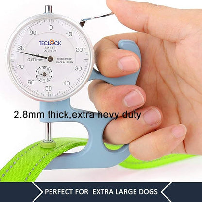 Plutus Pet Double Handle Dog Leash 6ft Long, Padded 2 Handle, Heavy Duty, Reflective Training Leash for Medium Large Dogs, Dual Handle Lead (Green)