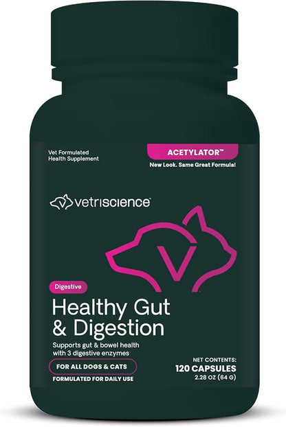 VetriScience Healthy Gut & Digestion Easy-Open Capsules, Acetylator Digestive Enzyme Supplement for Dogs and Cats, Probiotics and Enzymes, Soothe Gut and Bowel Discomfort, 120 Count