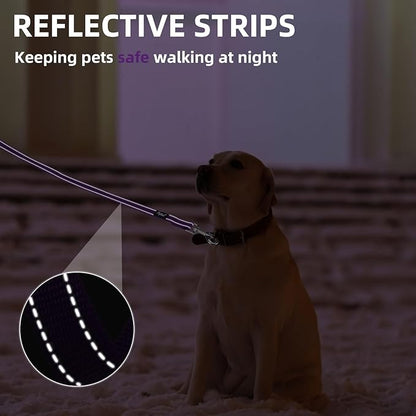 PUPTECK Reflective Dog Leash with Comfortable Padded Handle Durable Nylon Dog Lead for Small Medium and Large Dogs Cats Walking Running Training Outside, Purple