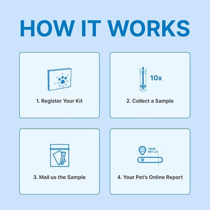 Petivity Microbiome Analysis Kit — Advanced for Cats and Dogs, Powered by Purina - 4.8 oz. Box