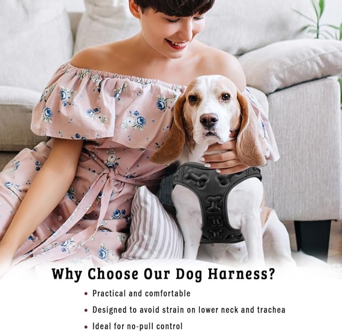 Comfort Fit Dog Harness No Pull No Escape Harness Adjustable Buckles Soft Padded Reflective Choke Step in Dog Vest with Easy Control Handle for Small Medium Large Dogs & Puppies