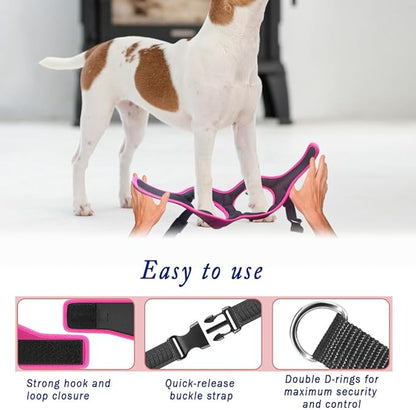 Comfort Fit Dog Harness Soft Padded No Pull Harness with Adjustable Buckles for Small Medium Large Dogs Step in Pet Vest with Easy Control Handle for Walking Jogging Running Training Dogs & Puppies