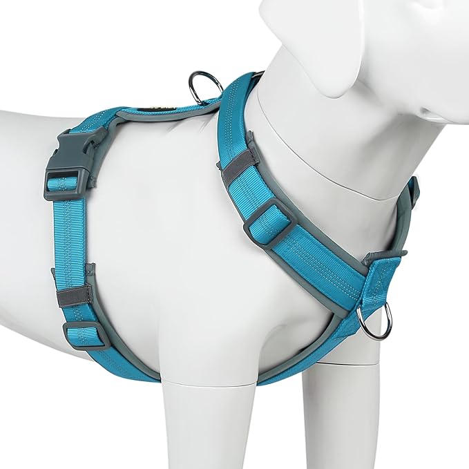 Plutus Pet No Pull Dog Harness, Adjustable Nylon Harness with Soft Padding, Reflective and Heavy Duty Dog Harness for Small, Medium, Large Dogs(Cyan, S)