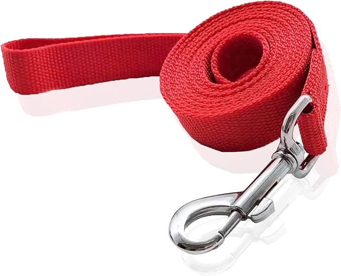 Nylon Dog Leash 12 Feet Long, Walking Training Dog Leashes for Medium Large Dogs(1" X 12 ft, Red)