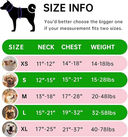 IVY&LANE No Pull Dog Harness for Large Dogs, Dog Vest Harness with Leash, Safety Belt and Storage Strap, Fully Adjustable Harness, 360° Reflective Strip, Soft Handle (Green, L)