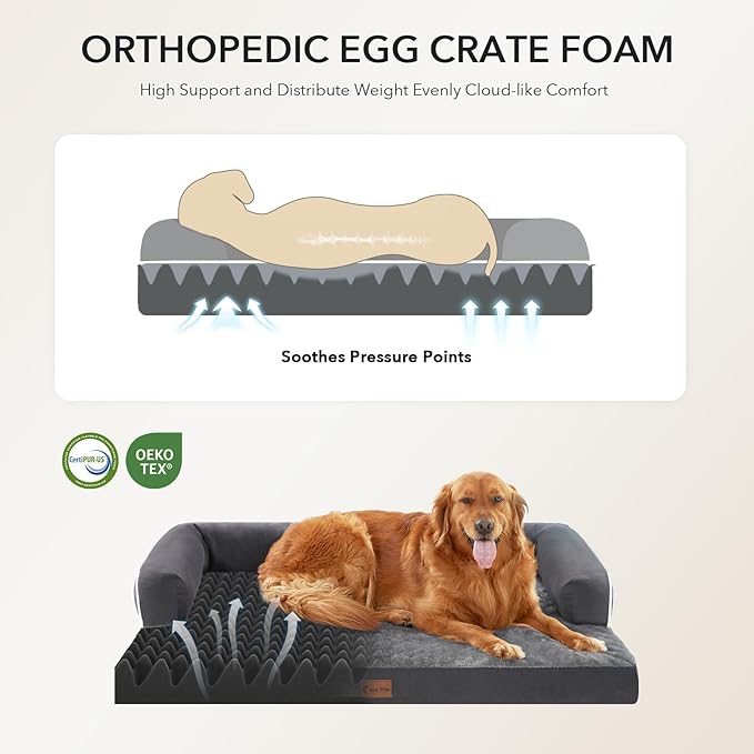 Casa Paw Orthopedic Dog Beds for Extra Large Dogs, Waterproof Egg Crate Foam XL Dog Bed with Sides 45x35Inch, Big Dogs Couch Beds with Removable Washable Cover and Nonskid Bottom, Dark Grey