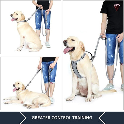 Plutus Pet Double Handle Dog Leash 6ft, Heavy Duty, Reflective Dual Handle Dog Leash for Safety Training, for Medium Large Dogs, 2 Handle Leads(Gray)