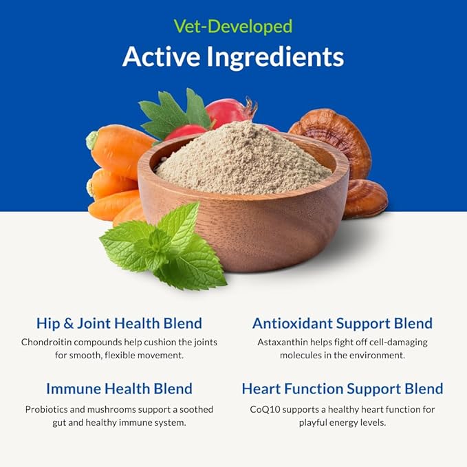 Ultimate Pet Nutrition Nutra Thrive Canine, 40-in-1 Nutritional Powder Supplement for Dogs with Digestion and Immune Support, Vitamins, Minerals, Probiotics, Enzymes, 30 Scoops (Pack of 3)