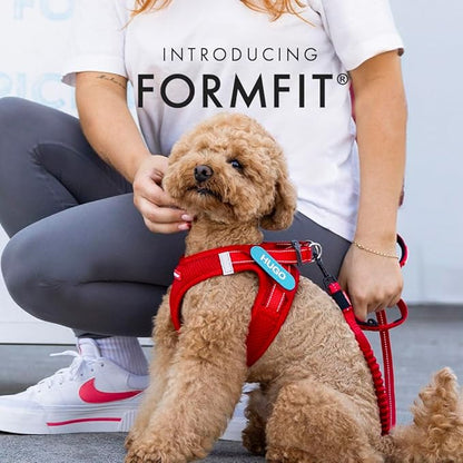 EzyDog FORMFIT Dog Harness for Small Sized Dog - All Weather Breathable Mesh Small Dog Harness with Reflective Trim, Easy Hook & Loop Closure, Sturdy Buckle, & D-Ring (Red, 2XS)