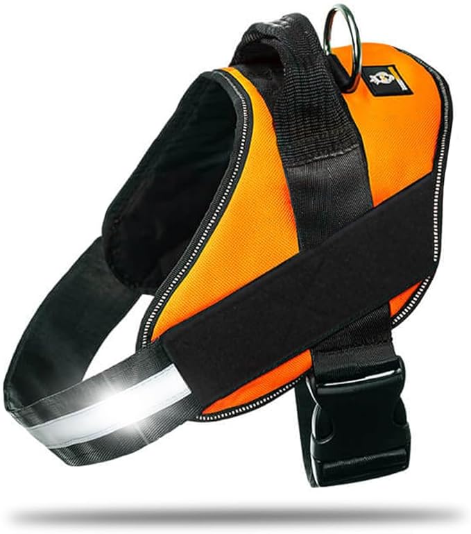 DOGGYKINGDOM Non Pull Dog Harness with Patch Panels and Handle, Adjustable, Reflective, No Choke, Heavy Duty Easy On Service Dog Vest Harnesses for Medium Large Small Sized Dogs - Orange, XL
