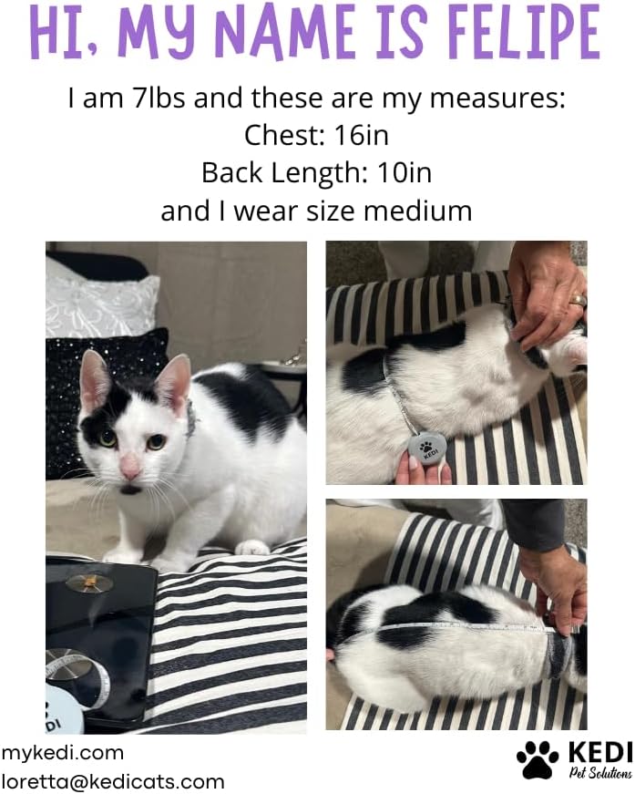 Kitten Recovery Suit Female, Kitten Onesie After Spay, Cat Surgery Suit Female After Surgery, Cone alternatives for Cats (Pink, Small)