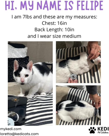 Kitten Recovery Suit Female, Kitten Onesie After Spay, Cat Surgery Suit Female After Surgery, Cone alternatives for Cats (Pink, Small)
