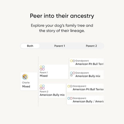 Embark Breed Identification Kit - Most Accurate Dog DNA Testing Kit - 99% Breed Ancestry Accuracy for Mixed Breed Dogs - Plus Relative Finder & Family Tree