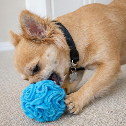 Glory To Dog Puppy and Small Breed Snuffle Interactive Foraging Dog Puzzle Ball Toy Blue Small