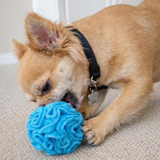 Glory To Dog Puppy and Small Breed Snuffle Interactive Foraging Dog Puzzle Ball Toy Blue Small