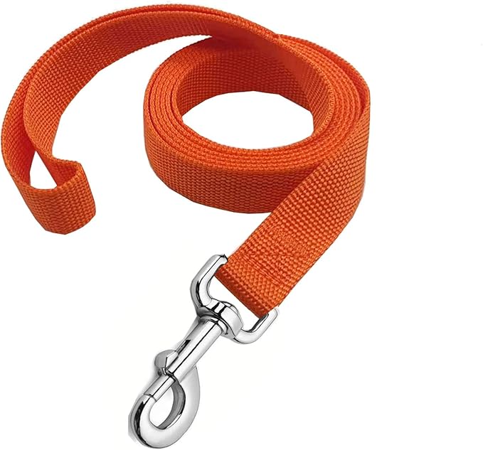 Strong Nylon Dog Leash, 4FT/ 5 FT/ 6FT Dog Leashes for Medium Large Dogs (6FT, Orange)