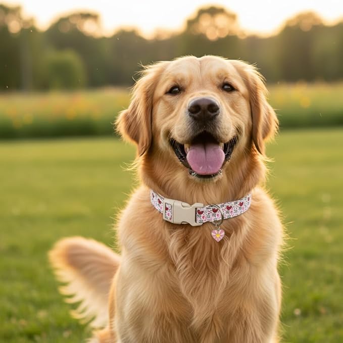 Small Dog Collar, Valentines Dog Collar, Adjustable Soft Valentine's Day Heart Design Puppy Collar for Extra Small Dogs, XS