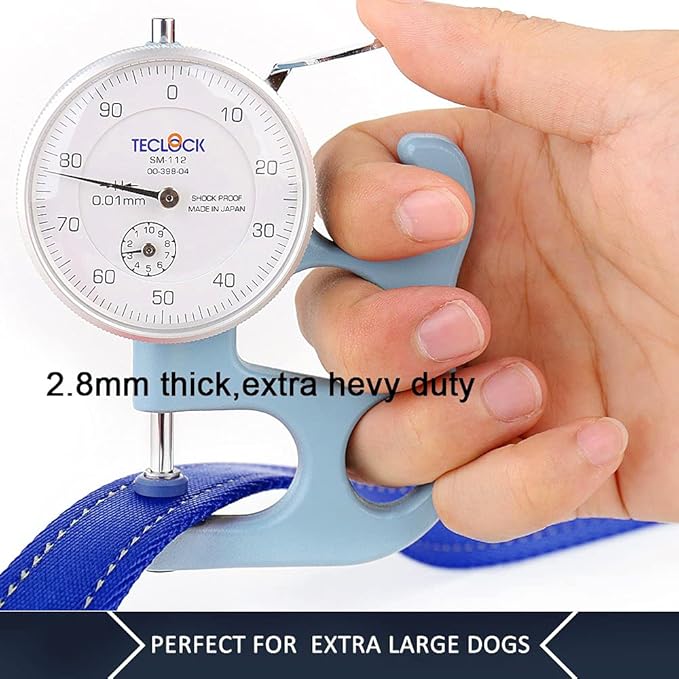 Plutus Pet Dog Leash 6ft Long,Traffic Padded Two Handle,Heavy Duty,Reflective Double Handles Lead for Control Safety Training,Leashes for Large Dogs or Medium Dogs,Dual Handles Leads(Navy Blue)