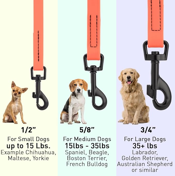Dogline Biothane Waterproof Dog Leash Strong Coated Nylon Webbing with Black Hardware Odor-Proof Easy to Clean High Performance for Small or Large Dogs Made in USA 4 or 6 ft Lead, Coral