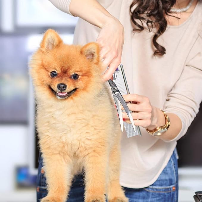 Dream Reach Dog Grooming Scissors - 6.5" Professional Sharp Downword Curved Shears with Ergonomic Handle for Cats Dogs