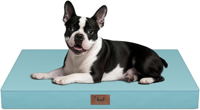 Tail Stories Outdoor Dog Bed for Small Dogs, Waterproof Dog Crate Bed for Medium Dogs Cats, Orthopedic Egg Crate Foam Pet Bed with Washable Removable Oxford Cover, Light Blue