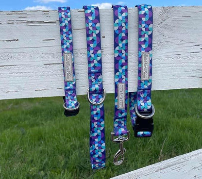 Lucky Love Dog - Adjustable Dog Collar and Leash Set with Easy Click Buckle for Small Dogs, Durable, & Comfortable Collar for Male & Female Dogs, Puppies & Adult Ones - Jasper Combo, XS
