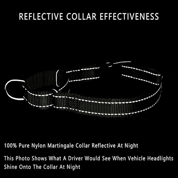 PLUTUS PET Reflective Martingale Collar with Quick Snap Buckle,No Pull Dog Choker Collar for Small Medium Large Dogs, M, Ranger Green