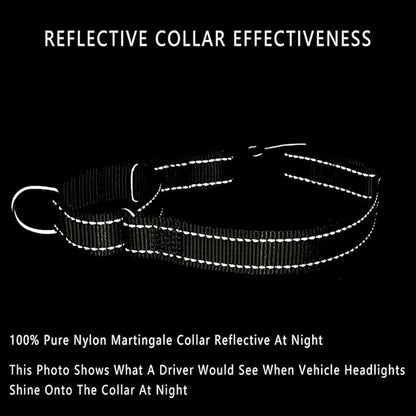 PLUTUS PET Reflective Martingale Collar with Quick Snap Buckle,No Pull Dog Choker Collar for Small Medium Large Dogs, L, Ranger Green