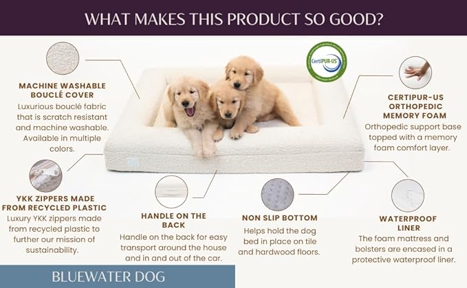 Bluewater Dog Luxury Boucle Orthopedic Memory Foam Dog Bed with Waterproof Liner and Machine Washable Cover with YKK Zippers (Medium 37" L x 30" W x 6" Th, Cloud)