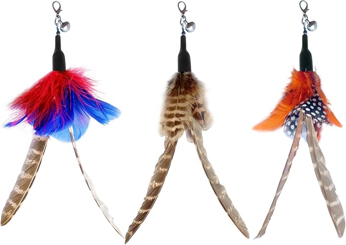 TTcat Cat Wand Toy Feather Replacement Cat Toy Attachments Refills,10 Pcs Simulation Insects Bird Feathers.