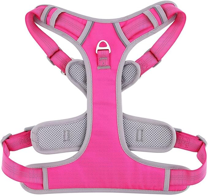 Paawpal Adjustable Dog Harness - No Pull, Reflective, Soft Padded for Small, Medium, Large Dogs - Includes Leash Pink XL