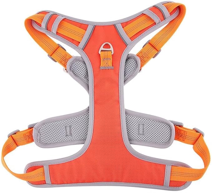 Paawpal Adjustable Dog Harness - No Pull, Reflective, Soft Padded for Small, Medium, Large Dogs - Includes Leash Orange XL