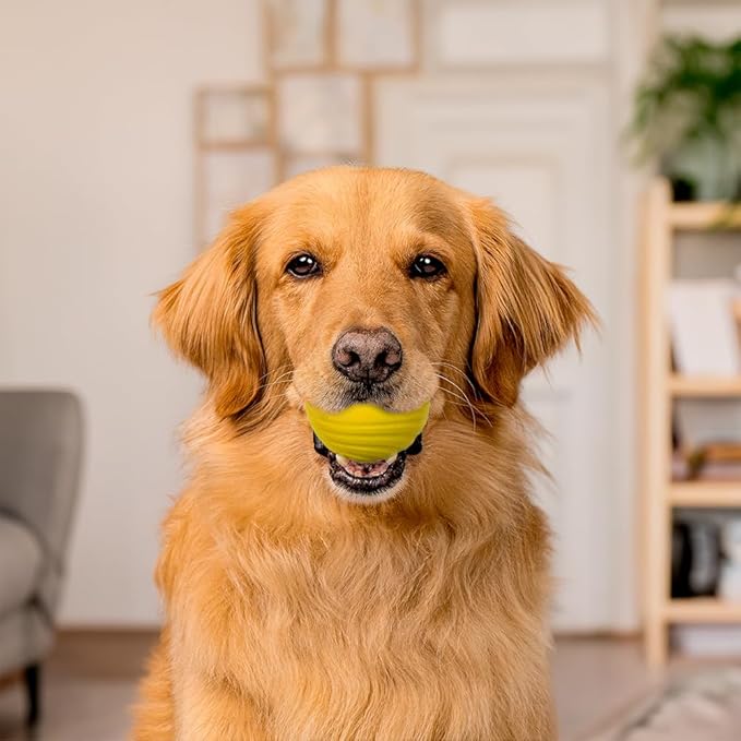 Playology Dog Toys | Dual Layer Ball Durable Chew Toy for Aggressive Chewers | Jumbo Chicken Scented Toy - Easy to Clean and Made from Non Toxic Materials