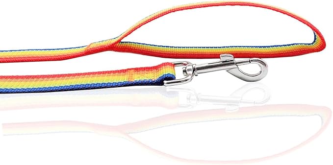 Nylon Dog Leash 4 Ft 5 Feet 6 Foot Long, Walking Training Dog Leashes for Medium Large Dogs, 1 Inch Wide (1" X 6 ft, Rainbow)