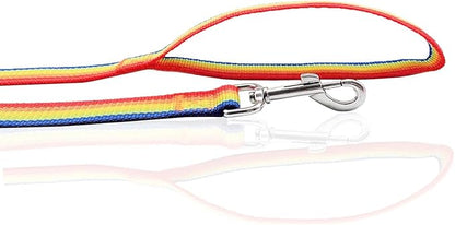 Nylon Dog Leash 4 Ft 5 Feet 6 Foot Long, Walking Training Dog Leashes for Medium Large Dogs, 1 Inch Wide (1" X 6 ft, Rainbow)