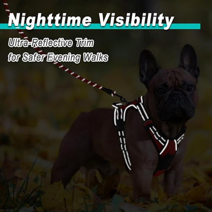 BARKBAY Dog Harness No Pull for Small Dogs - Adjustable, Reflective, Comfortable, No Choke, Heavy-Duty - Perfect for Outdoor Training, Walking, and Hiking - Strong & Durable - XS & Red